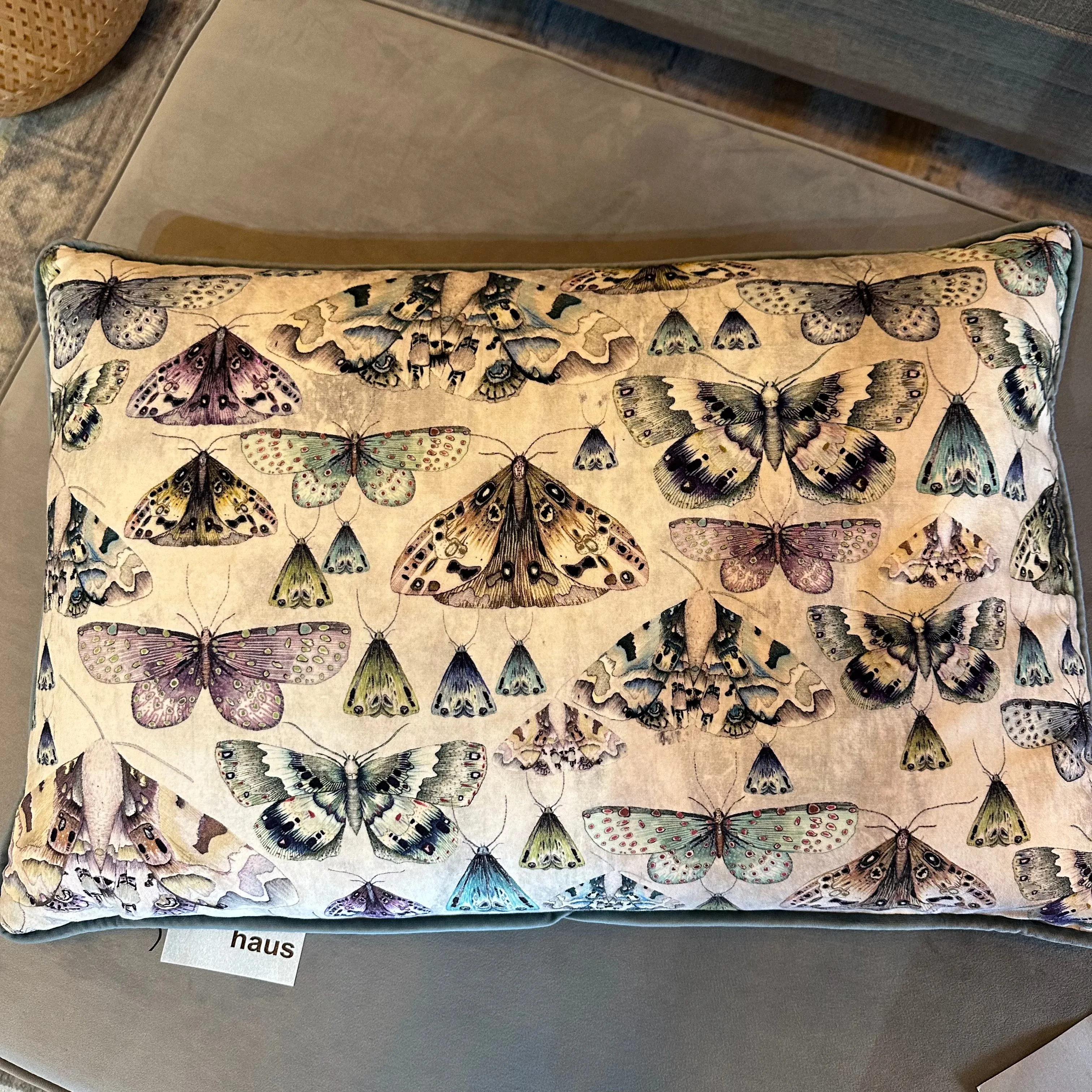 Butterfly Cushion